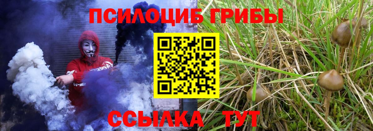 Фурманов  Псилоцибиновые грибы прущие грибы  купить закладку  Вход с VPN 